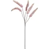 Bloem Phytolacca Roze