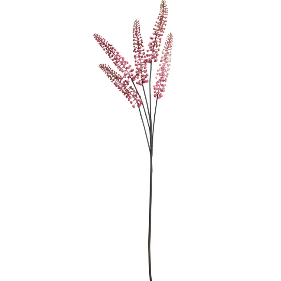 Bloem Phytolacca Roze