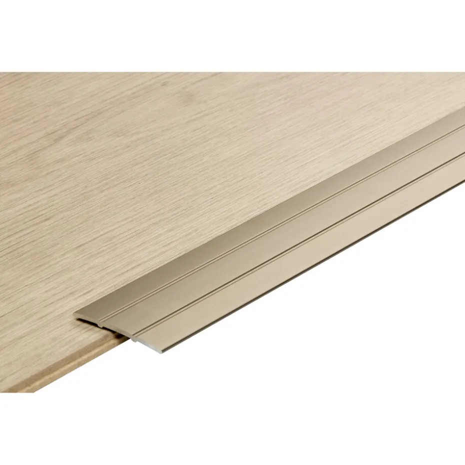 Dilatatieprofiel Staal Rvs 100 Cm