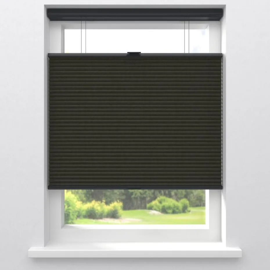 Fenstr Dubbel Plissé 45mm Lot Espresso Verduisterend