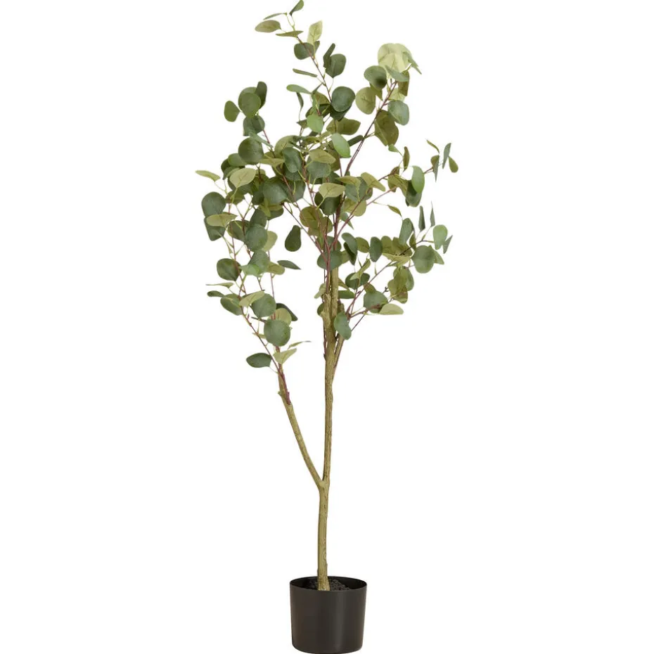 Kunstboom Eucalyptus In Pot Groen