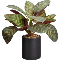 Kunstplant Calathea Groen