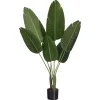 Kunstplant Strelitzia Groen