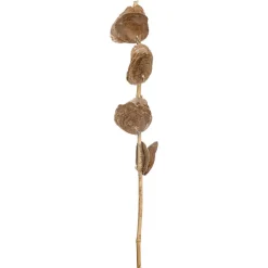 Kunsttak Capiz Taupe