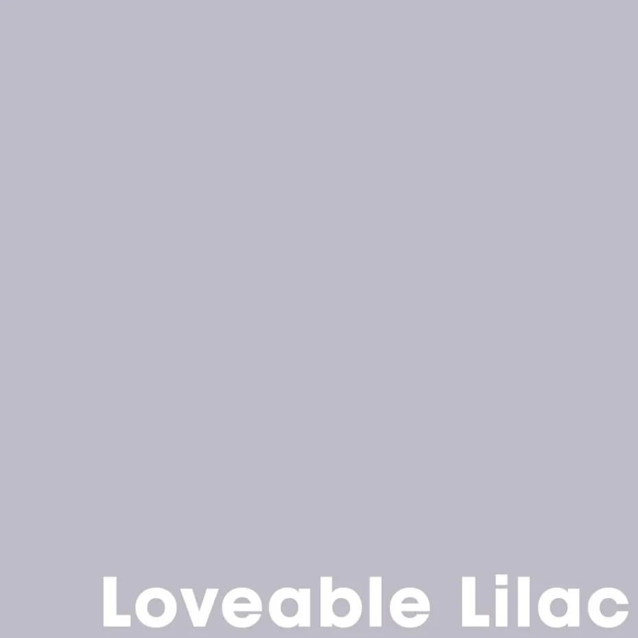 Muurverf Professional Loveable Lilac 1 L