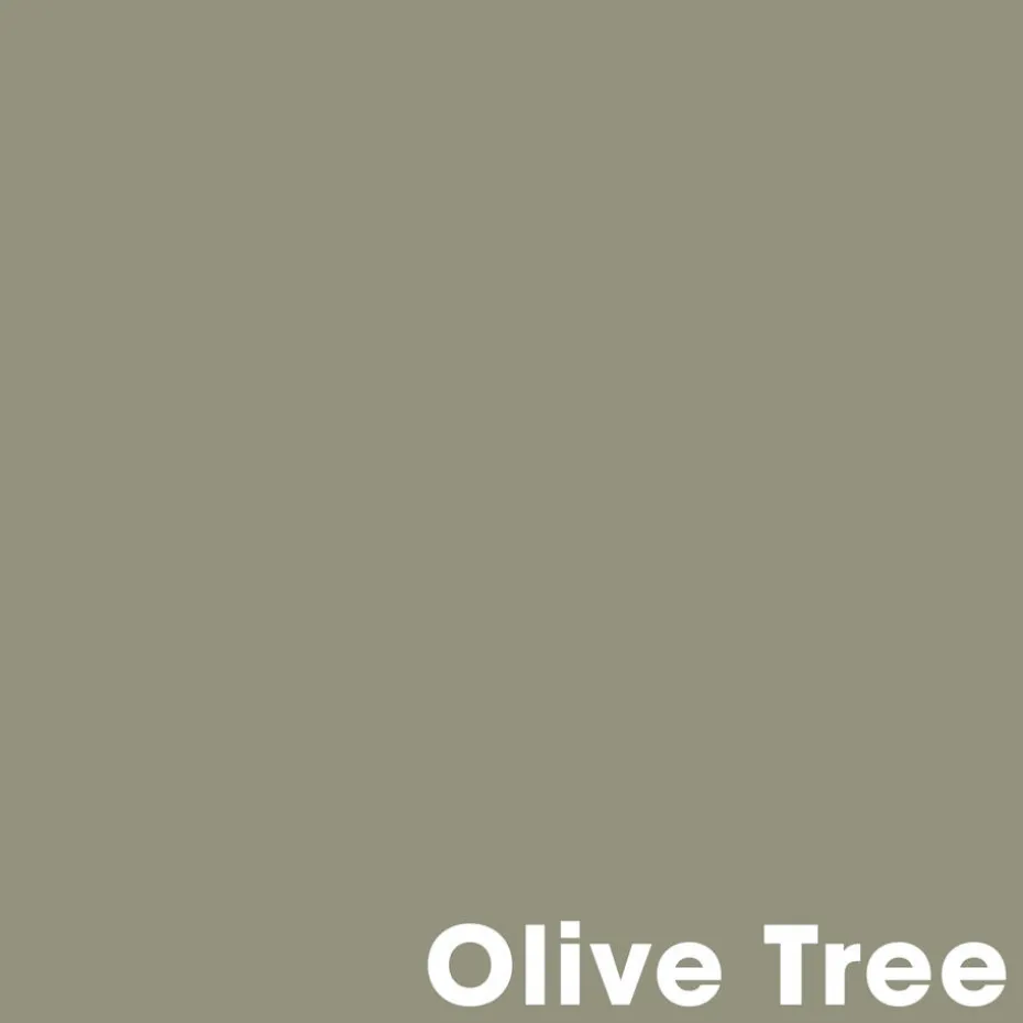 Muurverf Professional Olive Tree 1 L