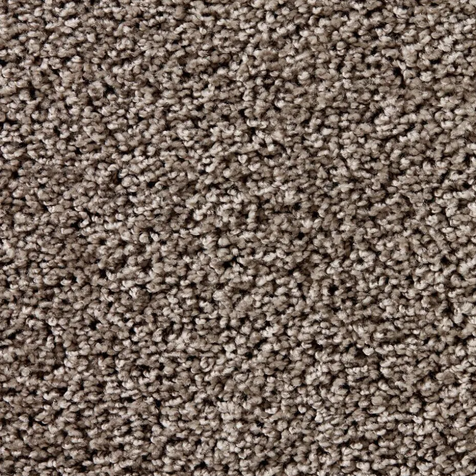 Tapijt Marvell Taupe