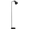 Vloerlamp Faun Zwart